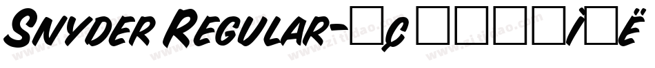 Snyder Regular字体转换